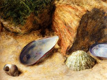 William Henry Hunt : Still Life With Sea Shells On A Mossy Bank